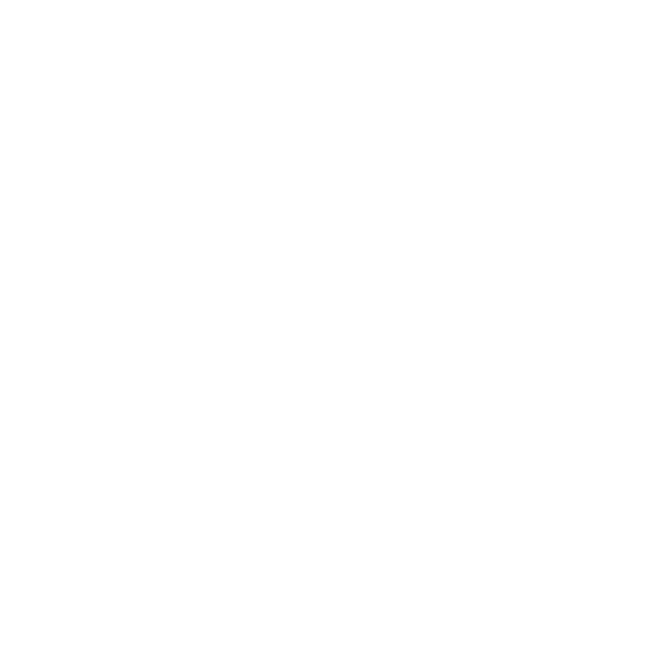 The Big Tree Logo