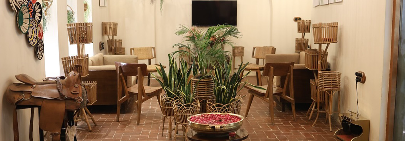 Themis Mudhouse