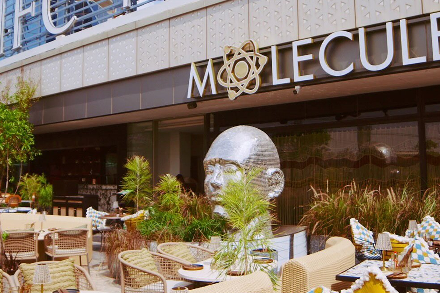Molecule Air Bar