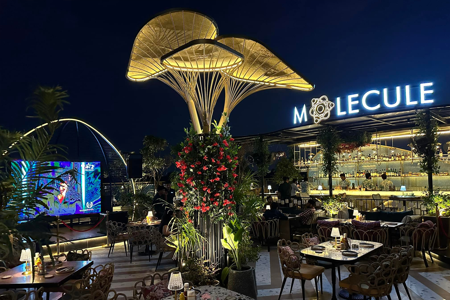 Molecule Air Bar