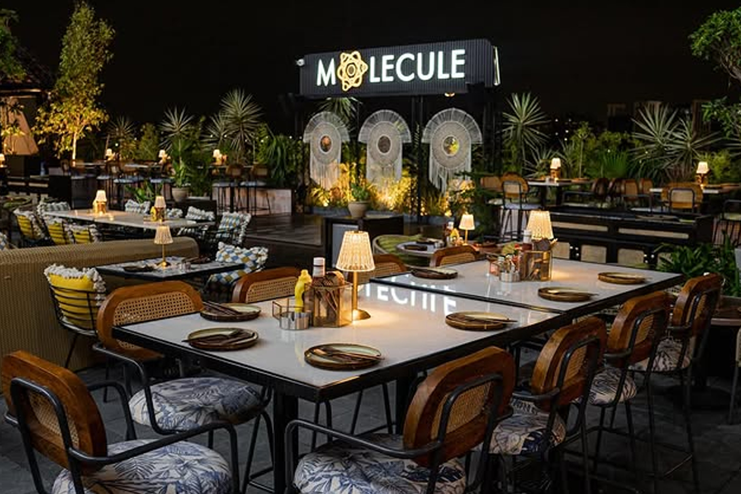 Molecule Air Bar